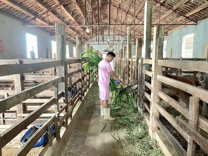 9x Nghệ An nghỉ việc về quê nuôi con hiền lành, thu nhập lên đến cả tỷ đồng/năm - 1