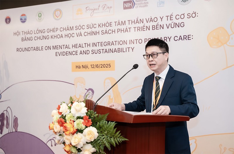 Mở rộng mô hình chăm sóc trầm cảm tại tuyến xã hướng đi mới cho y tế cộng đồng Việt Nam - 1