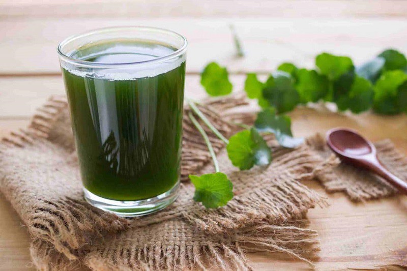 Khởi nghiệp từ loại rau mọc dại đầy đồng, 9x Quảng Ninh có thu nhập trên 50 triệu đồng/tháng - 7