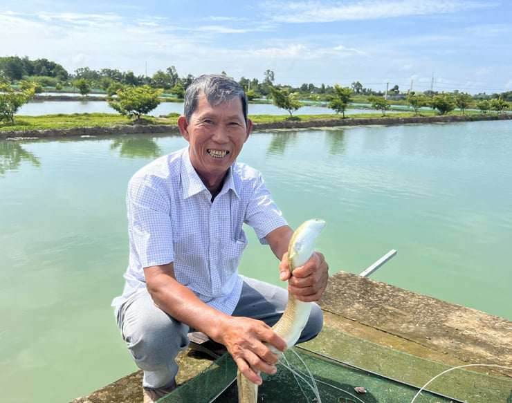 Làm liều nuôi loài cá “lạ”, lão nông Cà Mau thu về hàng tỷ đồng mỗi năm - 3