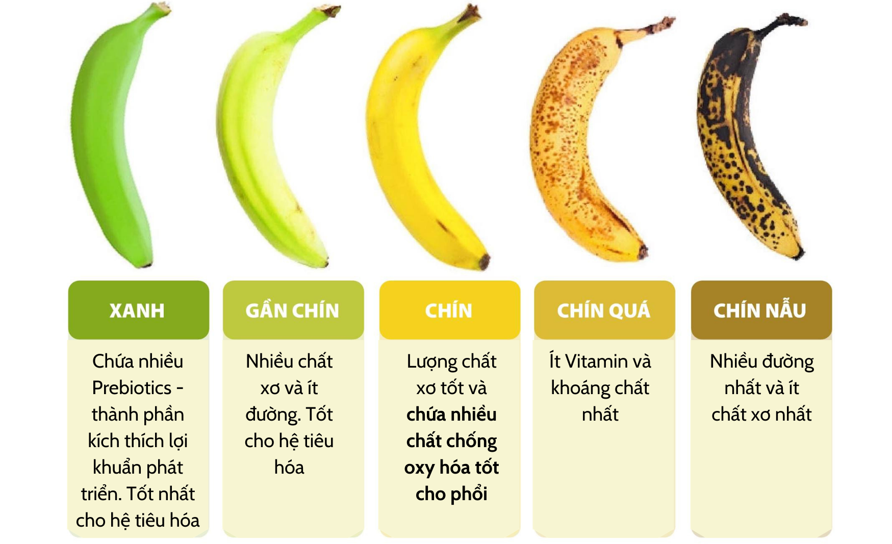 Thời điểm ăn chuối tốt hơn cả thuốc bổ, giúp phổi thông thoáng, ho giảm, đàm loãng và thở dễ hơn - 2