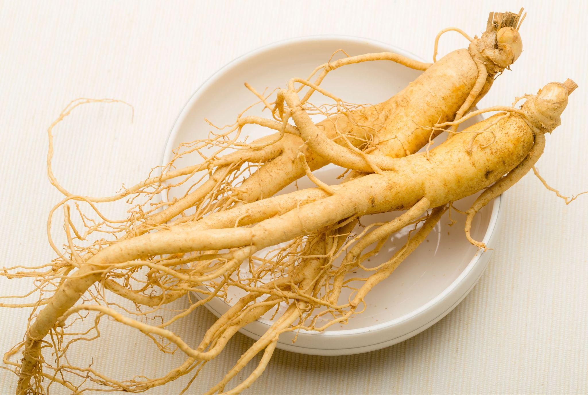 Nhân sâm “nóng” hay “lạnh”? Hiểu lầm phổ biến của người Việt về loại dược liệu nổi tiếng này - 1