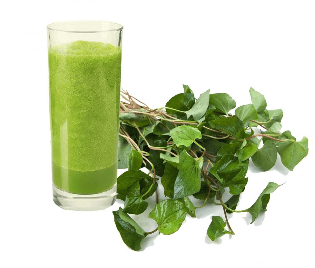 Loại rau “tanh nồng” bị nhiều người ngó lơ nhưng dưỡng phổi, giảm ho cực tốt, “bổ tựa nhân sâm” - 2