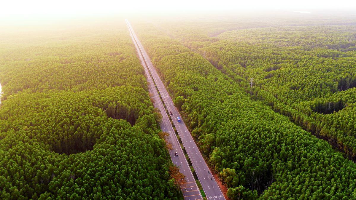 Khám phá cung đường chạy đẹp nhất Việt Nam: băng rừng di sản, xuyên “kỳ quan đô thị biển” tại Cần Giờ - 1