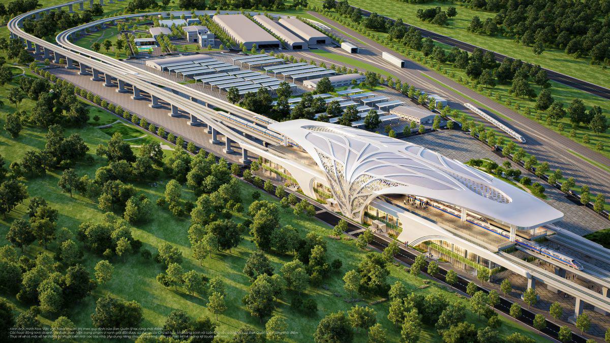 Khám phá cung đường chạy đẹp nhất Việt Nam: băng rừng di sản, xuyên “kỳ quan đô thị biển” tại Cần Giờ - 2