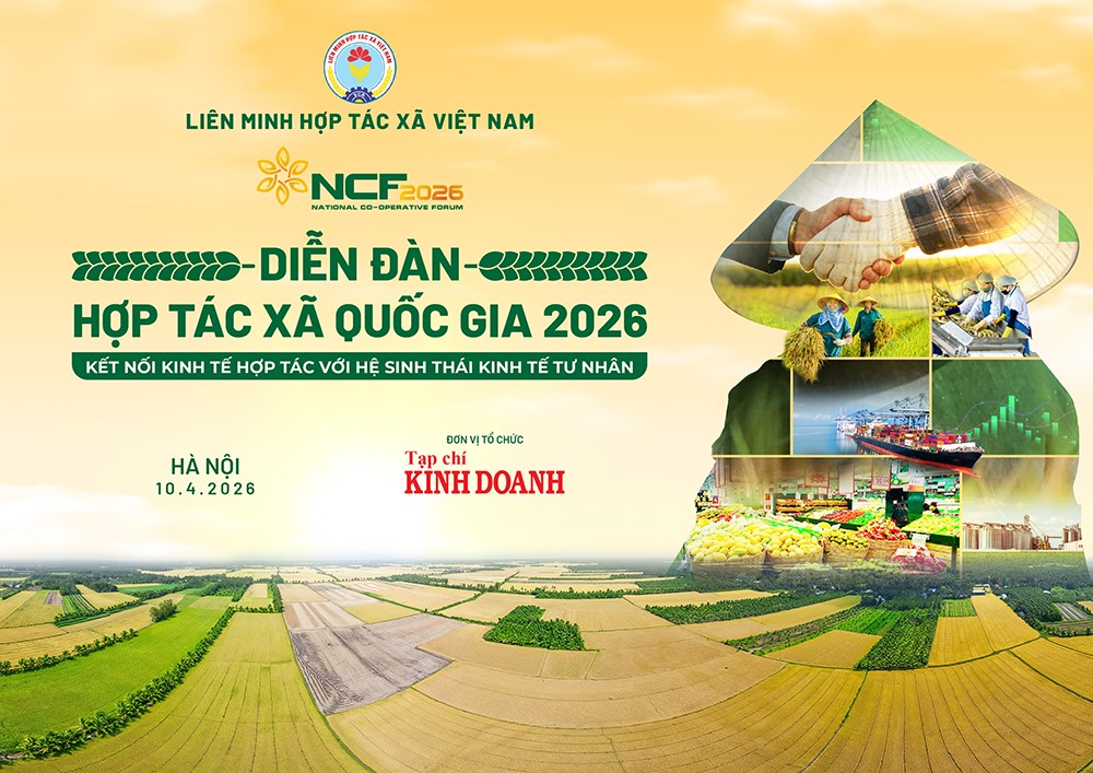 Mở ra không gian liên kết mới cho kinh tế hợp tác trong hệ sinh thái hiện đại - 1