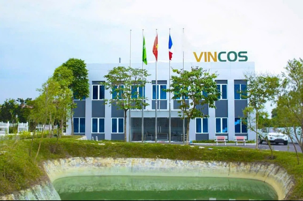 Vincos Việt Nam – Khi giá trị bền vững được xây dựng từ niềm tin khách hàng - 1