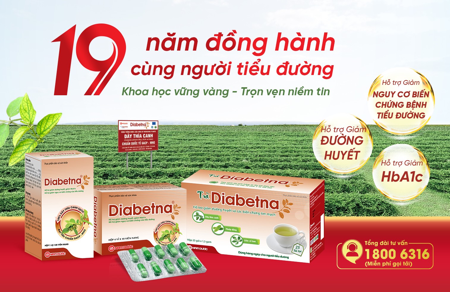Diabetna 19 năm đồng hành cùng người tiểu đường: Khoa học vững vàng - Trọn vẹn niềm tin - 4