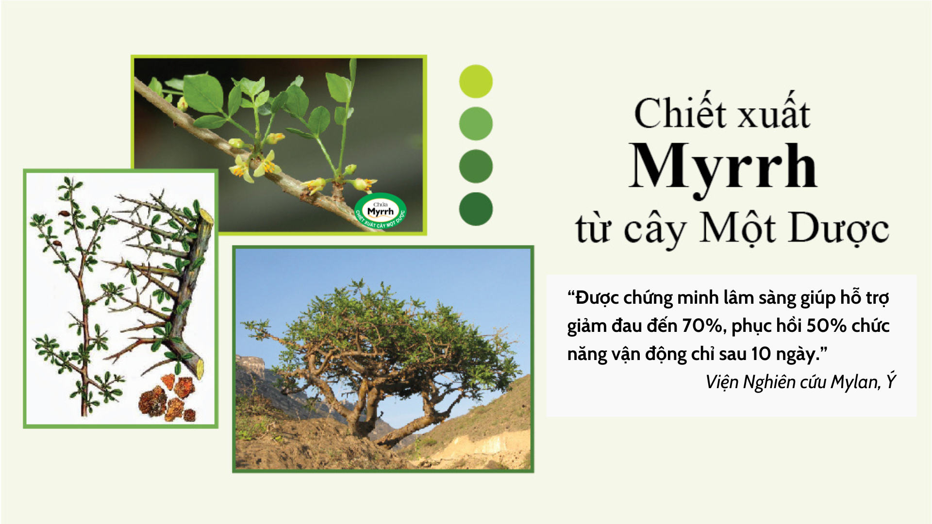 Buổi sáng vừa ngủ dậy đã làm ngay việc này khiến lưng đau âm ỉ cả ngày - 6