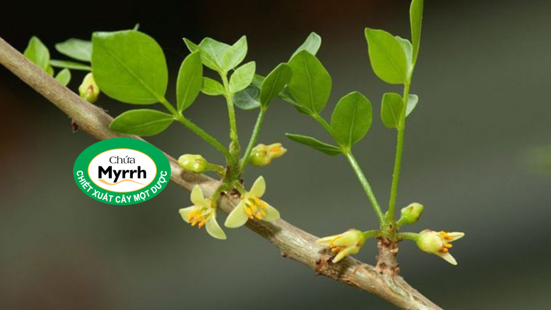 Thói quen tránh nóng tưởng vô hại, không ngờ lại khiến lưng đau dai dẳng - 4