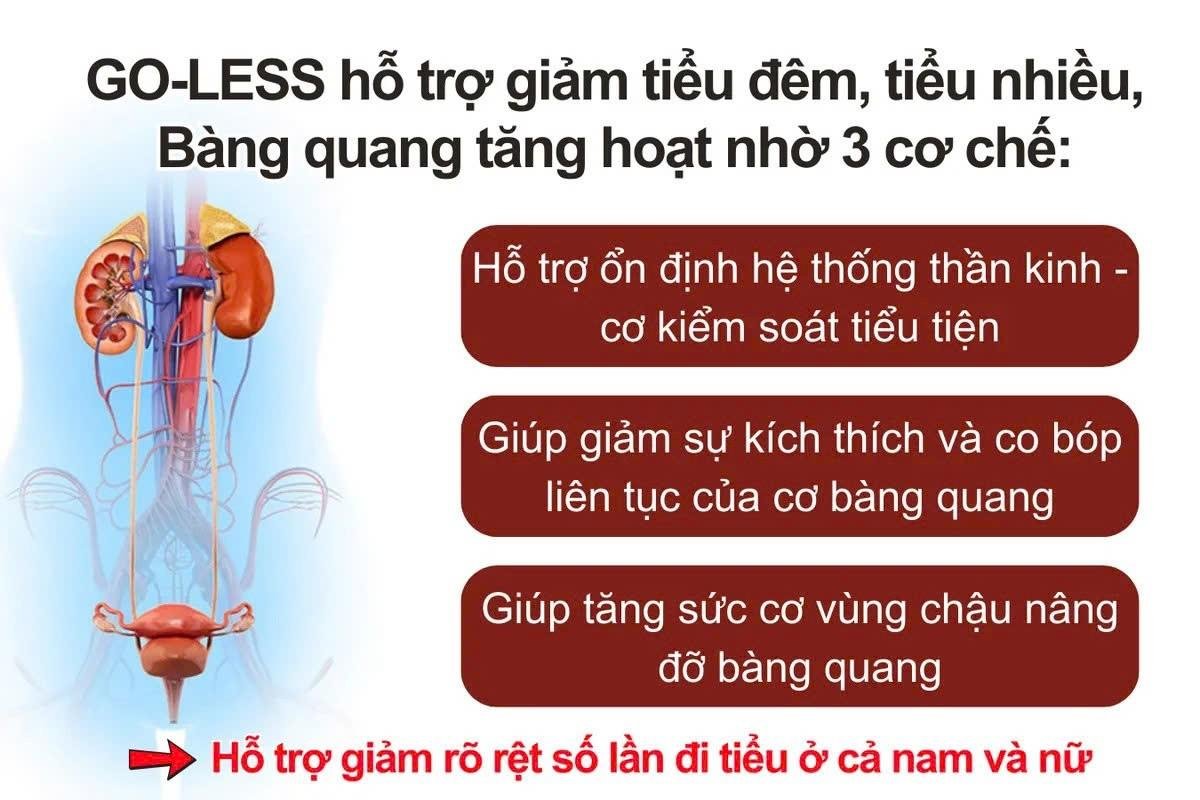 4 sai lầm khi uống nước đang "tra tấn" bàng quang, khiến bạn đi tiểu “mất phanh” từ sáng đến tối - 3