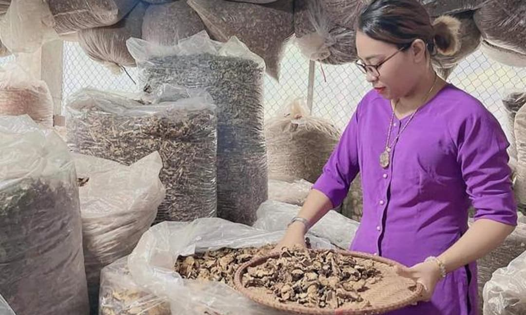 Lương Y Nguyễn Thị Thái và bài thuốc gia truyền chữa bệnh mạn tính - 2