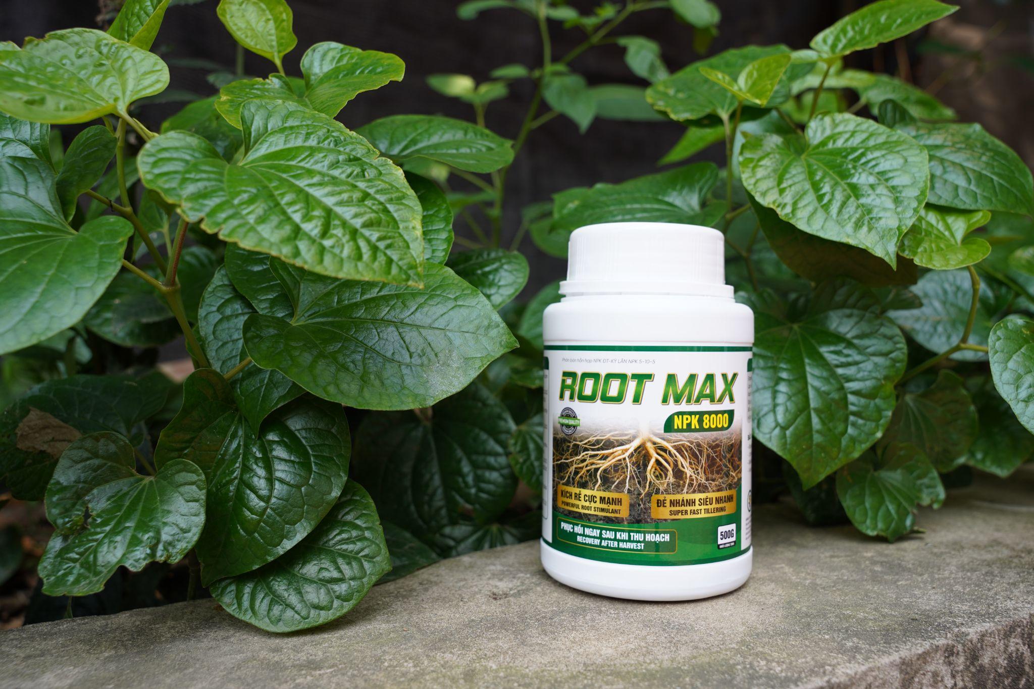 ROOT MAX NPK 8000: giải pháp kích rễ cực mạnh – kiến tạo nền móng cho nông nghiệp thịnh vượng - 3