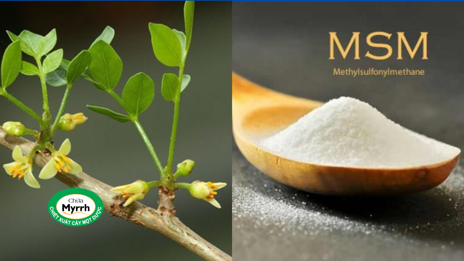 3 tư thế ngủ tốt nhất giúp giảm đau rõ rệt cho người bị thoái hóa cột sống - 6