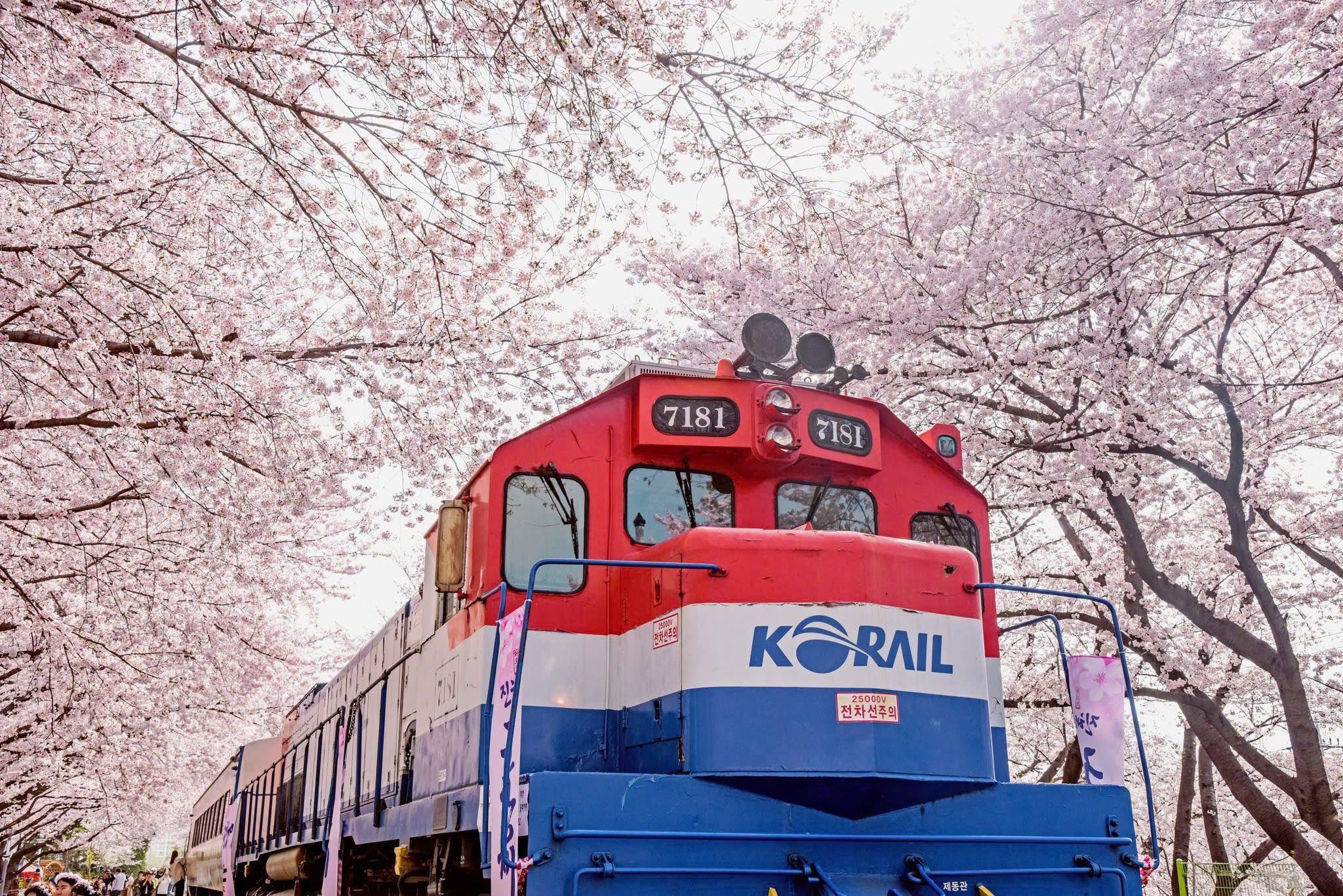 Hành trình Busan - Seoul: Định nghĩa lại trải nghiệm "local" tại xứ sở kim chi - 5