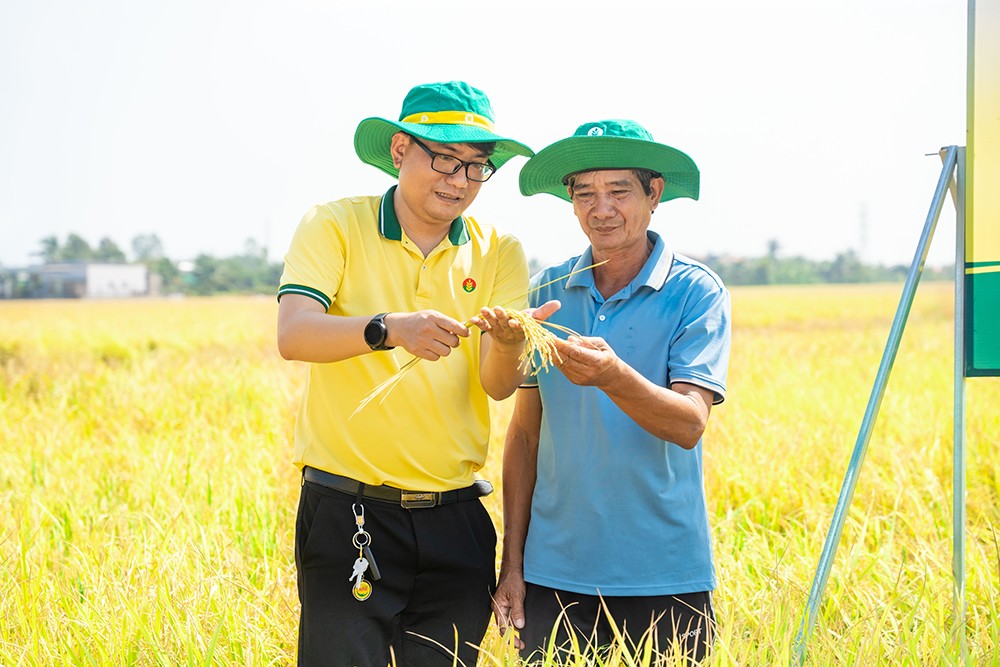 Phân Bón Cà Mau kịp thời hỗ trợ nhà nông vượt khó - 2