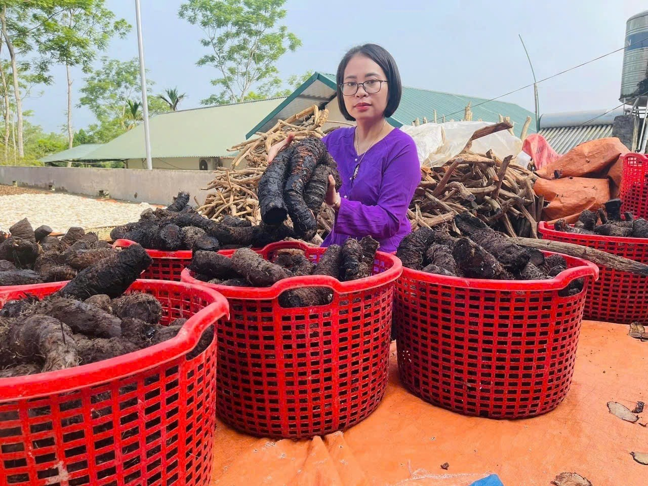 Lương y Nguyễn Thị Thái – “Kho Thuốc Nam” Hà Giang với hơn 20 năm kinh nghiệm chữa bệnh bằng bài thuốc gia truyền - 2