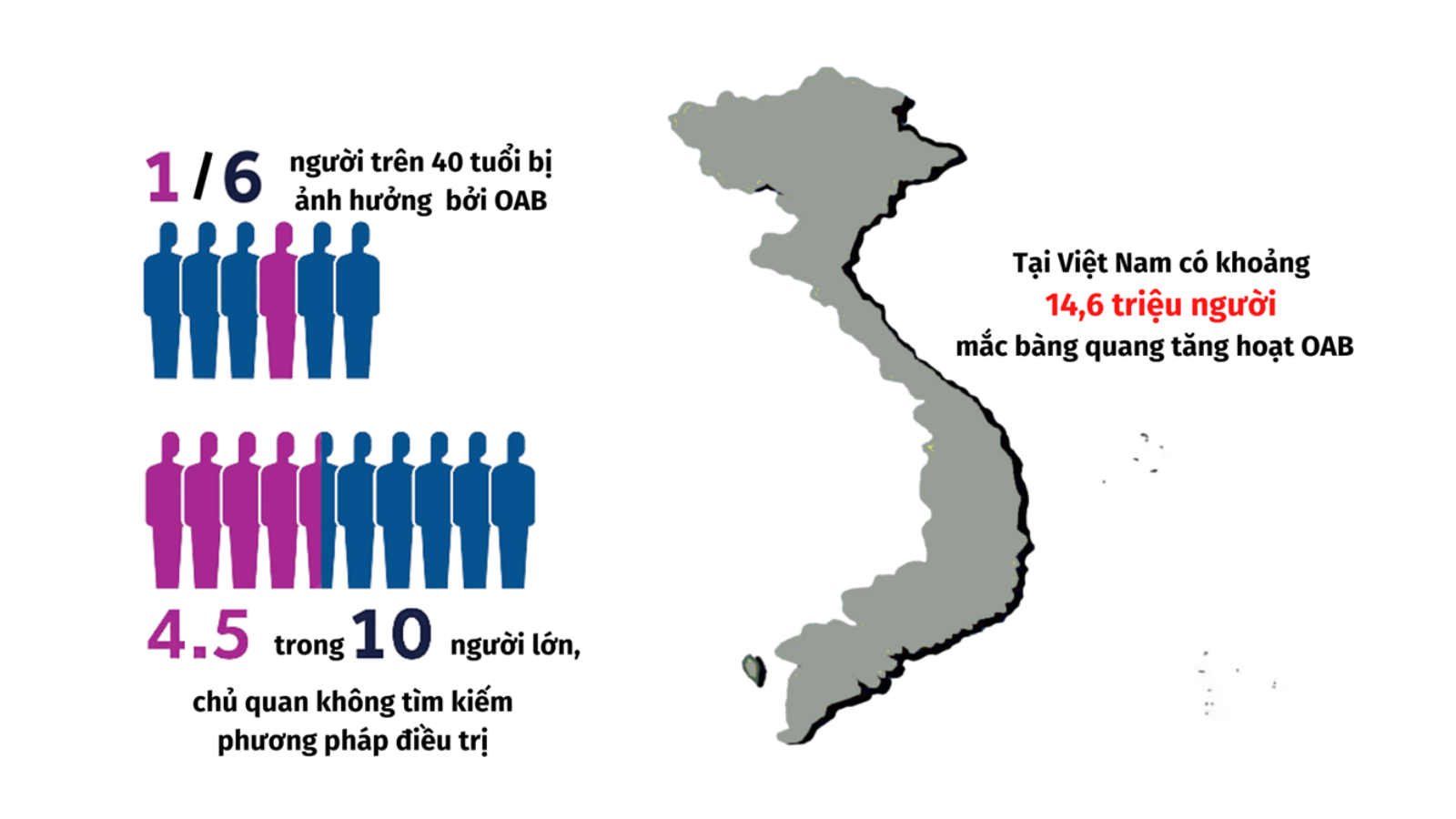 3 nguyên tắc ăn uống đúng lúc để bàng quang không “quá tải” - 2