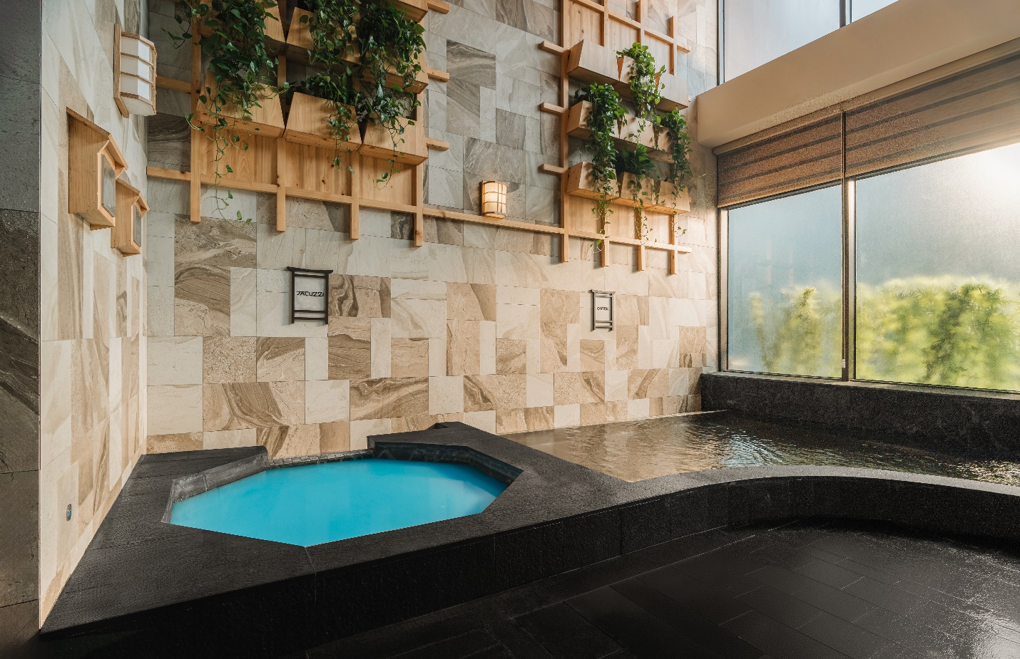 Khám phá các dòng khoáng tại Forest Onsen – Tổ hợp onsen trị liệu cách bến Bạch Đằng 30 phút lái xe - 6
