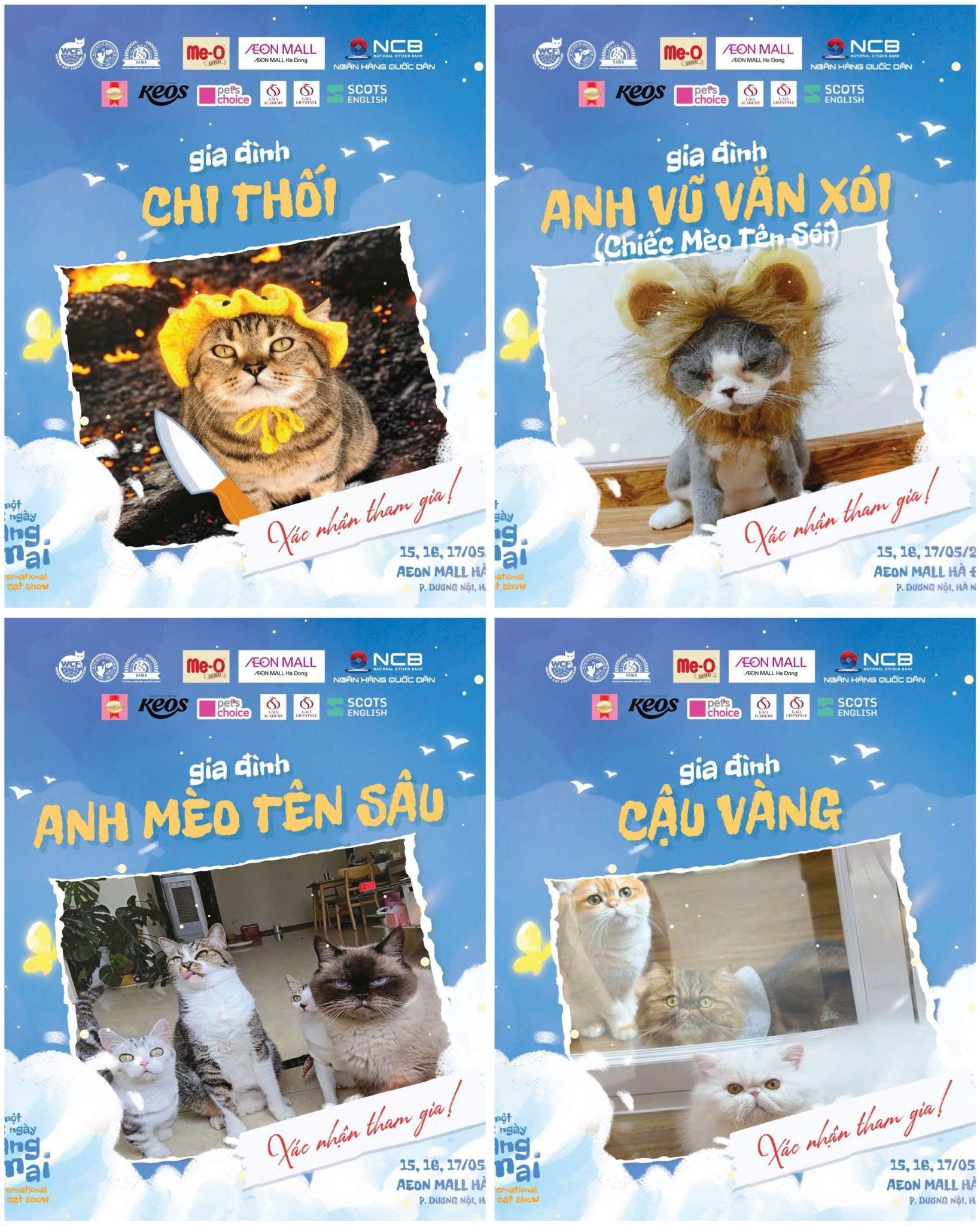“Đột kích” lễ hội mèo quốc tế hot nhất tháng 5: Hàng trăm “ngôi sao thú cưng” hội tụ - 1
