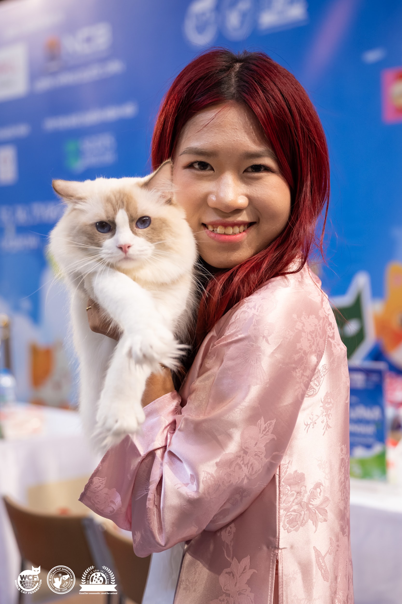 Giải đáp “Vũ trụ hoa hậu mèo”: Vì sao các “ngôi sao thú cưng” lại luôn sở hữu ngoại hình lộng lẫy - 4