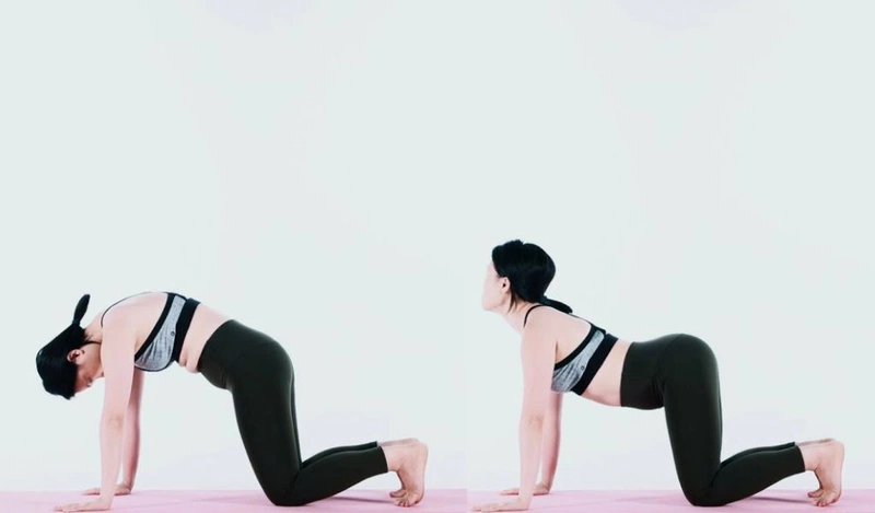 Đau lưng, thoát vị đĩa đệm: 3 bài tập được chuyên gia khuyên nên thực hiện mỗi ngày - 1