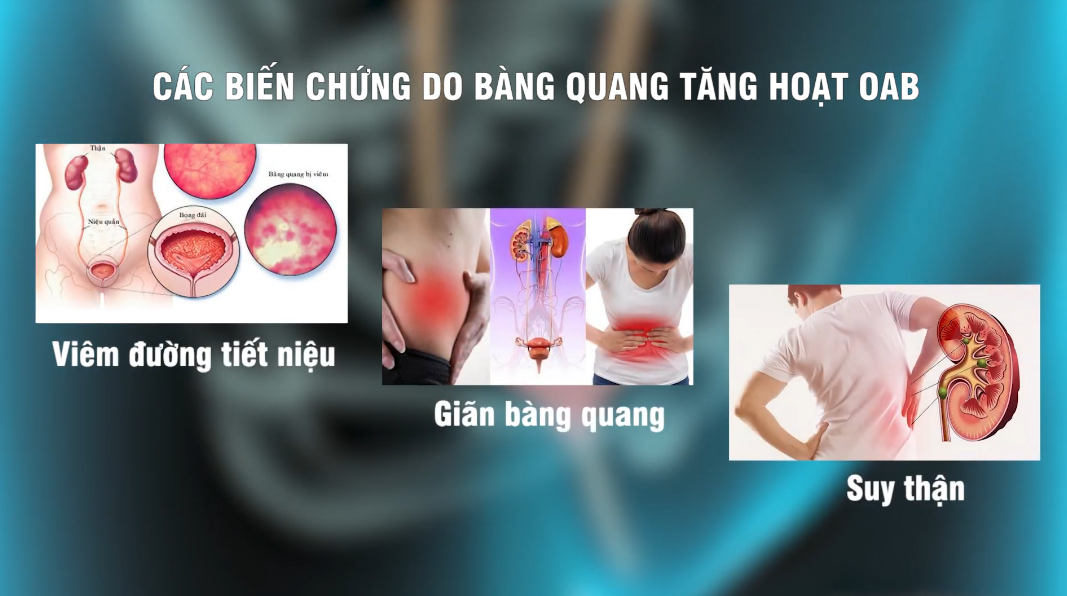 Loại hạt tí hon này là “cứu tinh” cho người tiểu đêm, Việt Nam rẻ bèo nhưng nước ngoài coi như “báu vật”! - 2
