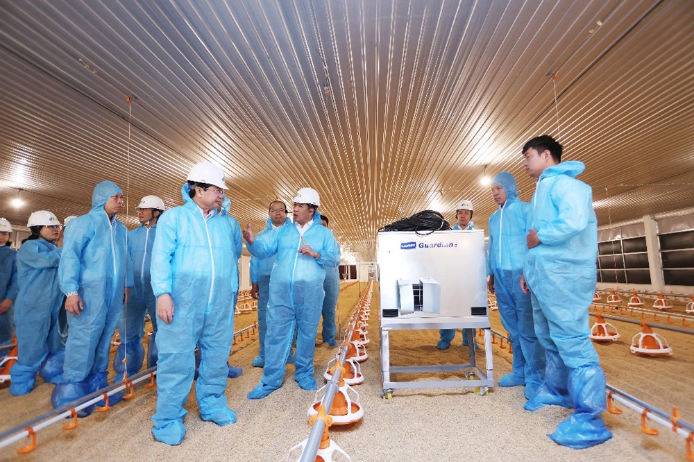Lãnh đạo Tây Ninh khảo sát tiến độ Dự án chăn nuôi công nghệ cao DHN Tây Ninh 2 - 2