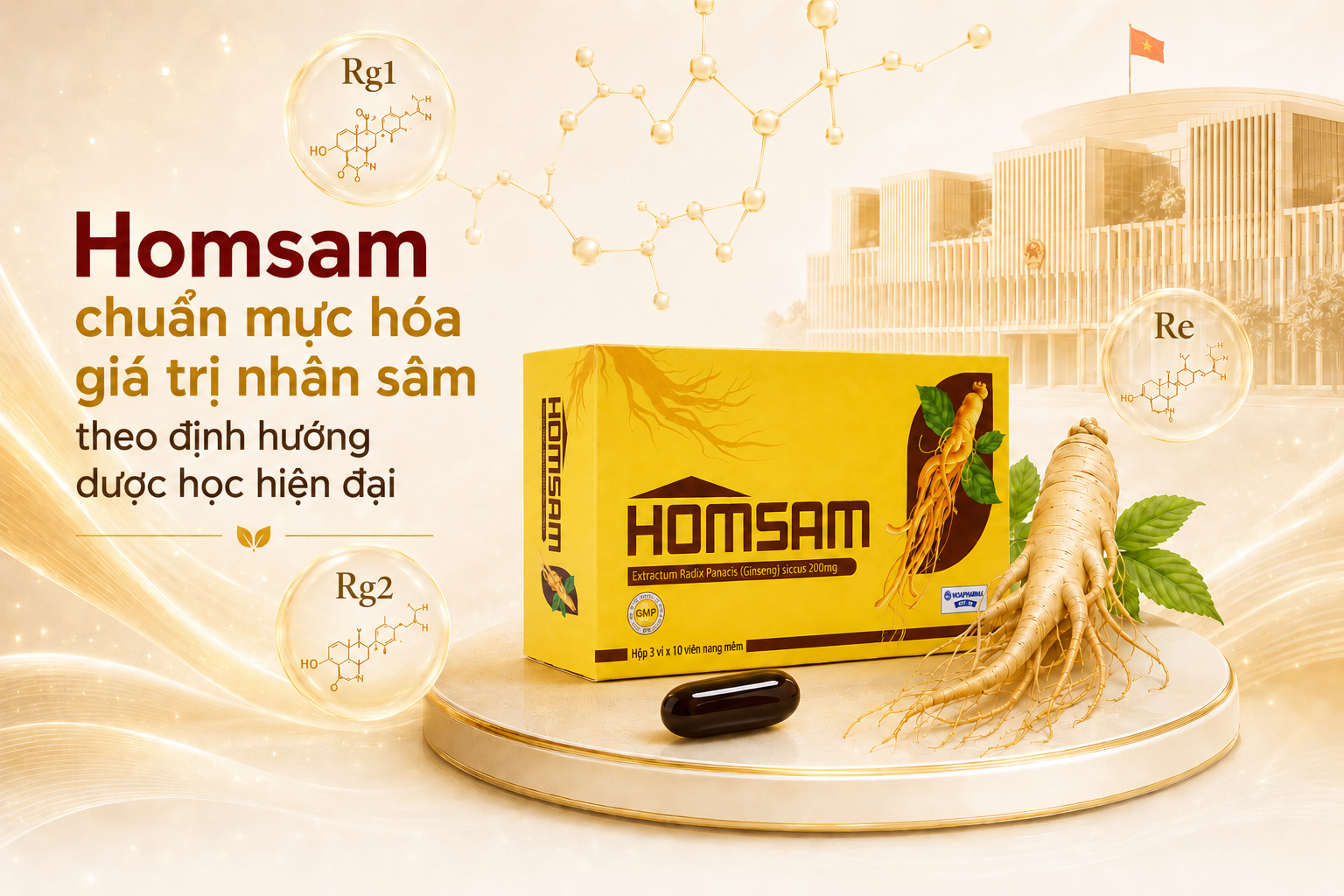 Homsam chuẩn mực hóa giá trị nhân sâm theo định hướng dược học hiện đại - 1
