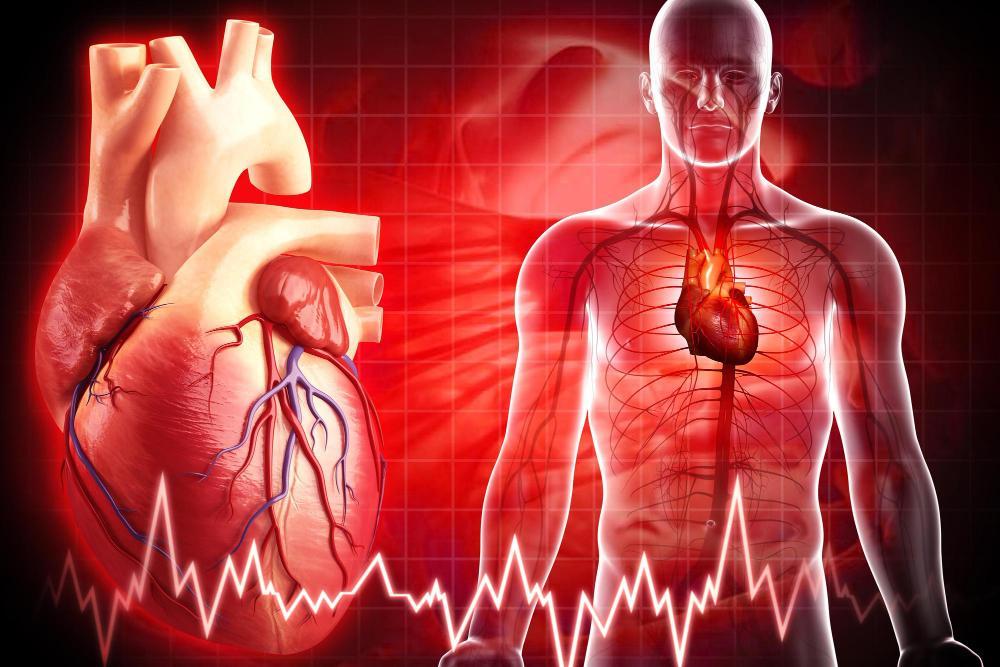 Mỡ máu cao – "kẻ giết người thầm lặng" không gõ cửa báo trước - 1
