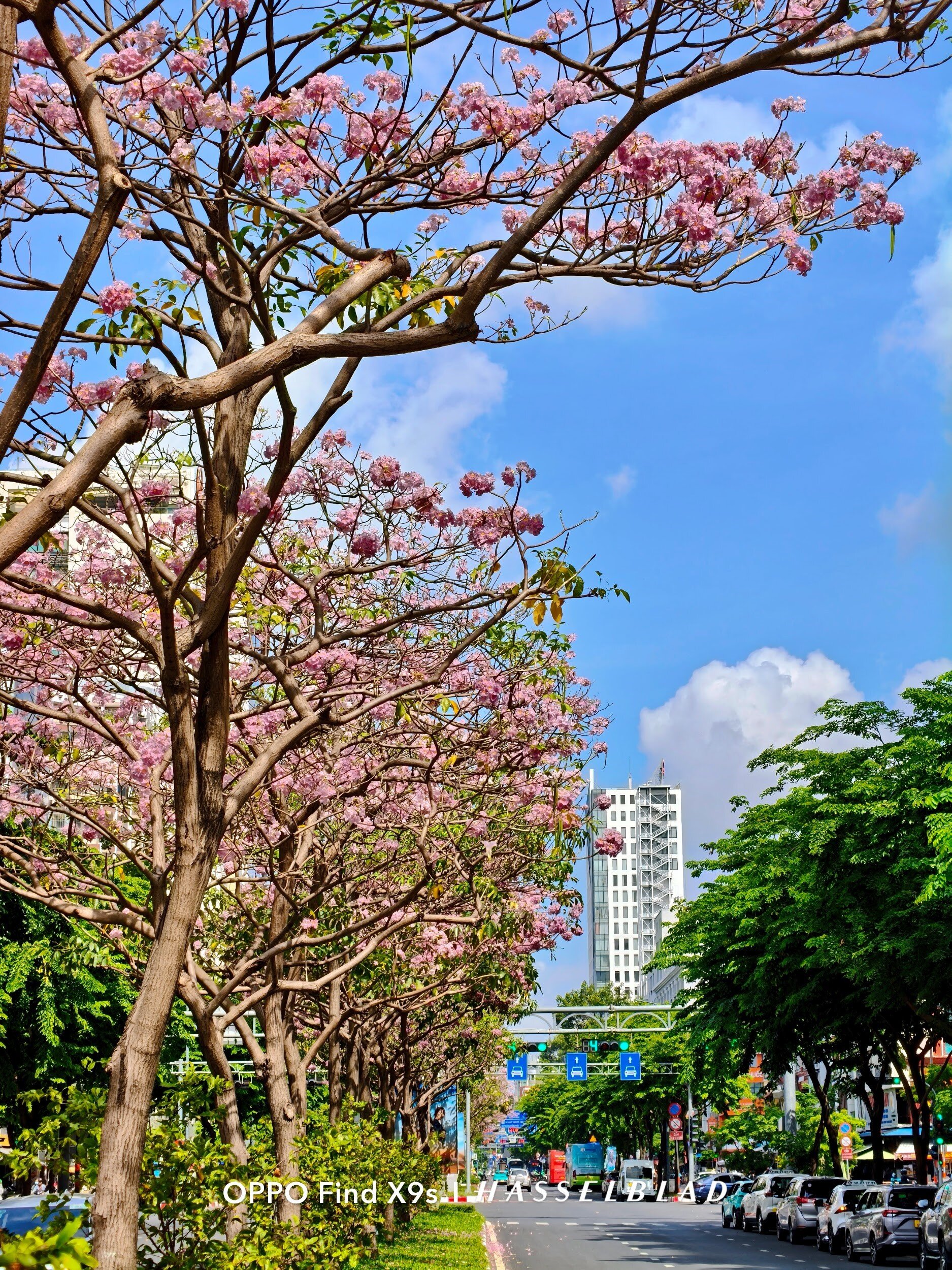 OPPO Find X9s: Chiếc flagship nhỏ gọn cho những chuyến đi nhiều cảm xúc - 4
