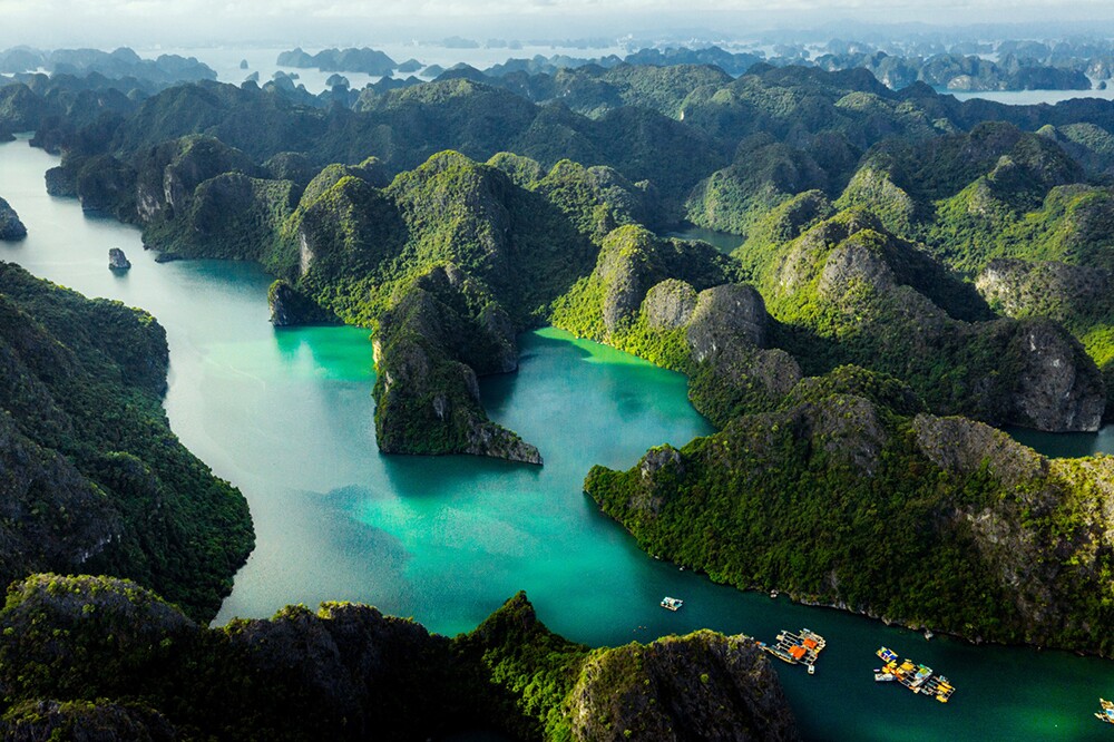 Xanh Island Cát Bà “on top” trên bản đồ bất động sản Việt Nam - 3