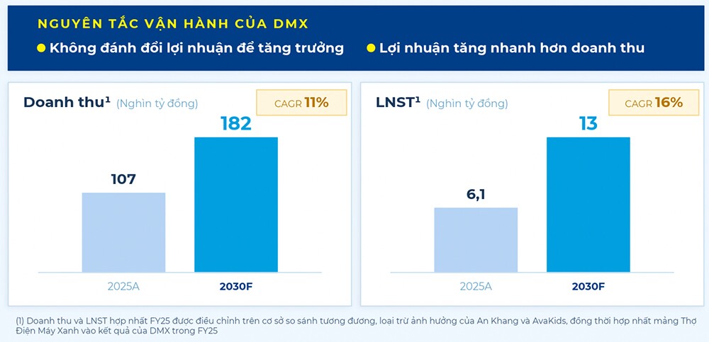 Bài học Best Buy và “lớp áo giáp” bảo vệ tăng trưởng, biên lợi nhuận của Điện Máy Xanh - 7