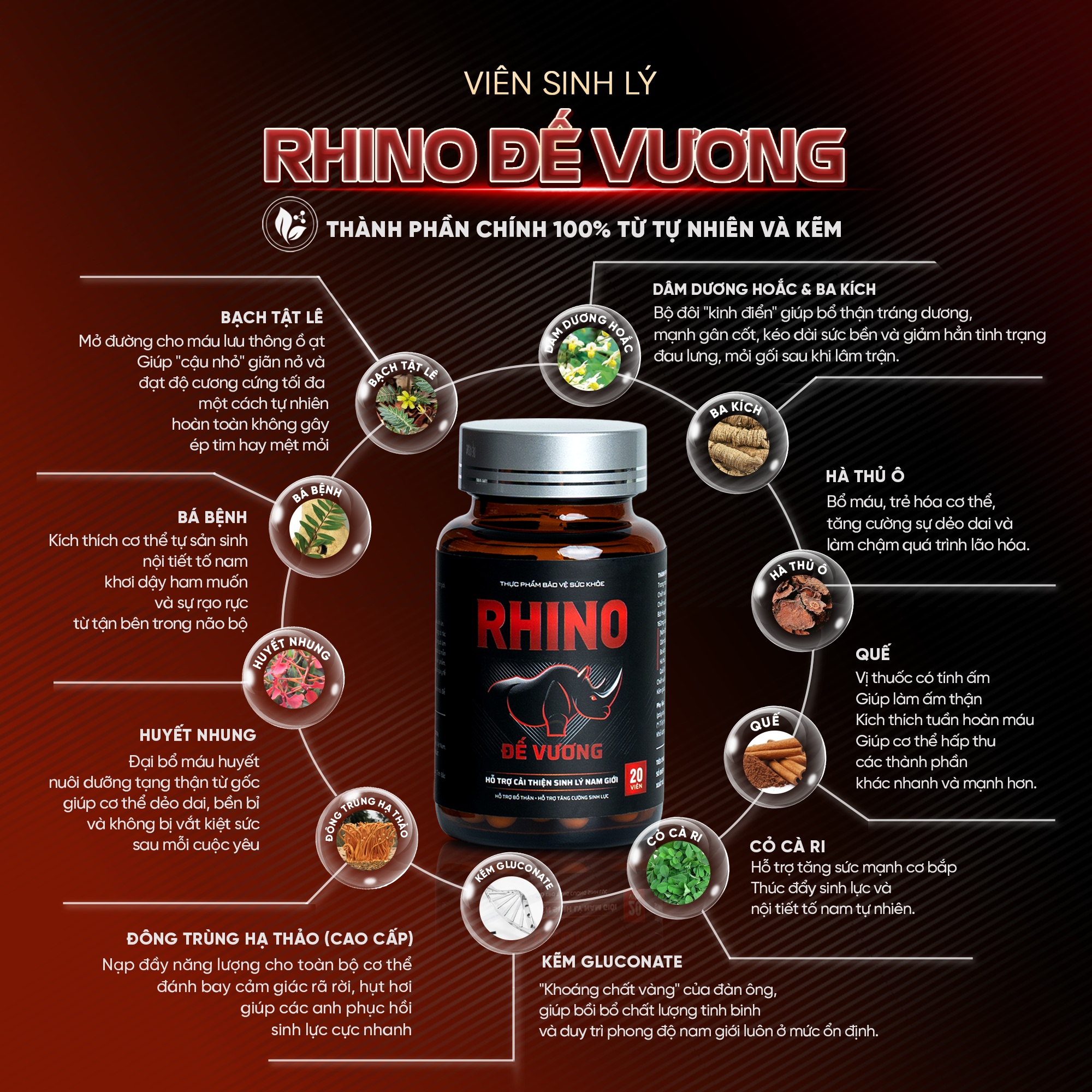 Rhino Đế Vương: Hỗ trợ cải thiện sinh lý cho nam giới nhờ hàm lượng Cordycepin cao trong Đông trùng hạ thảo - 2