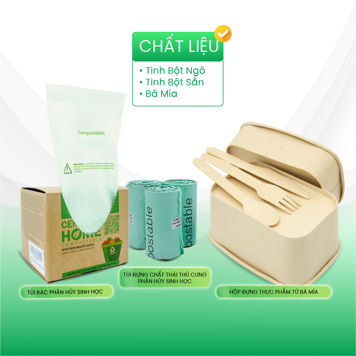 HAPLAST và 1.000 cây xanh - Khởi đầu cho hành trình kiến tạo tương lai xanh - 2