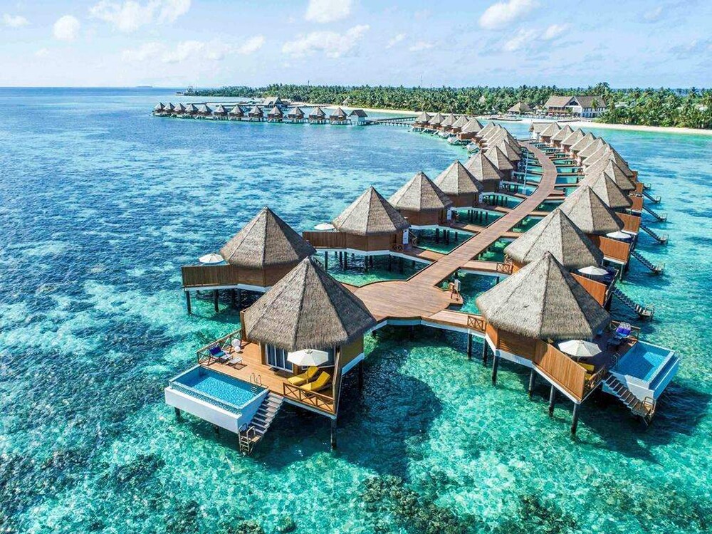 Phong vị thượng lưu: Nghệ thuật sống thịnh vượng của giới tinh hoa - 2