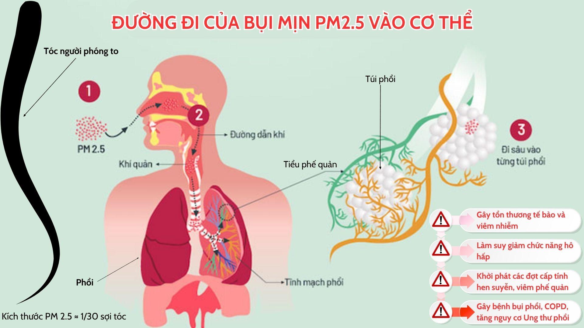 Sáng dậy khạc đàm liên tục: “Thủ phạm” có thể đang ở ngay trước cửa nhà - 2
