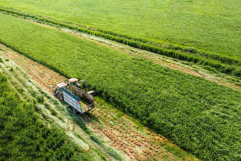 Vinamilk tiếp tục là đại diện duy nhất của ngành sữa Việt Nam trong Fortune 500 Đông Nam Á - 3