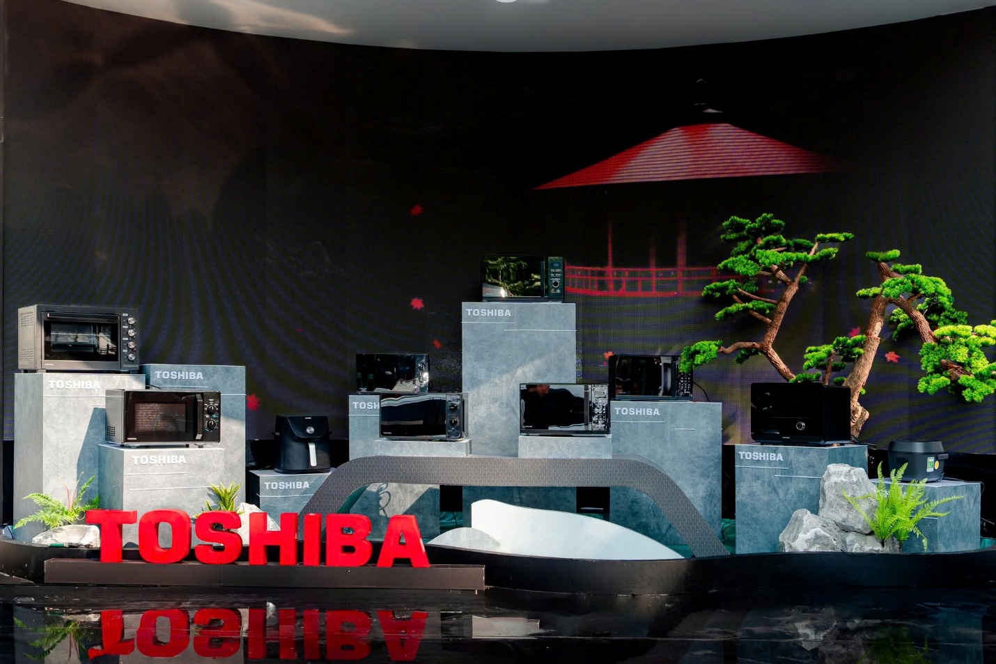 Toshiba trở thành thương hiệu lò vi sóng bán chạy số 1 Việt Nam năm 2025 - 2