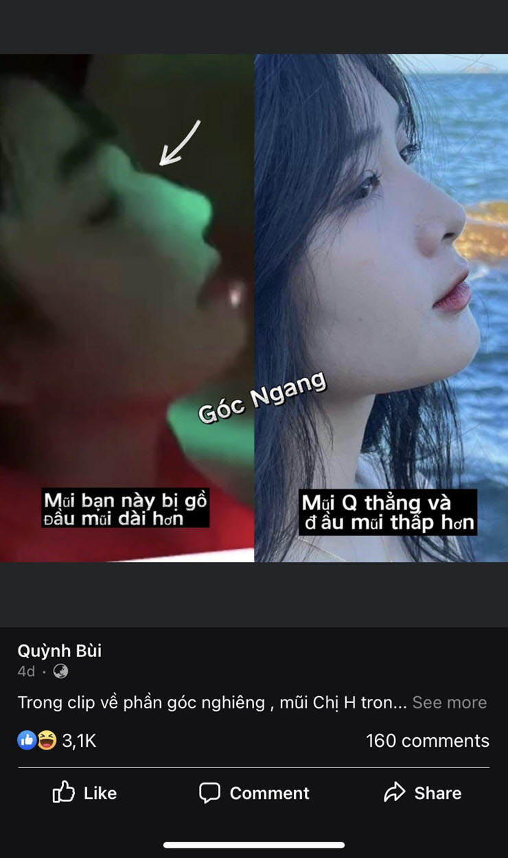 Streamer Quỳnh Alee tung loạt bằng chứng đáp trả dân mạng, chán nản muốn bỏ nghề - 3