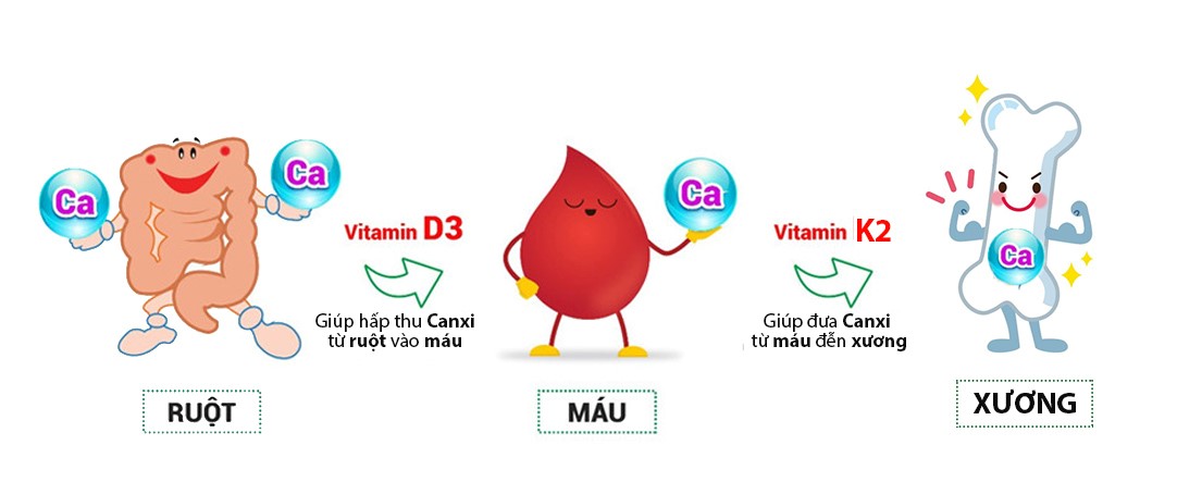 Người Việt lọt top 15 quốc gia thấp nhất thế giới, làm sao để trẻ phát triển chiều cao vượt trội? - 2