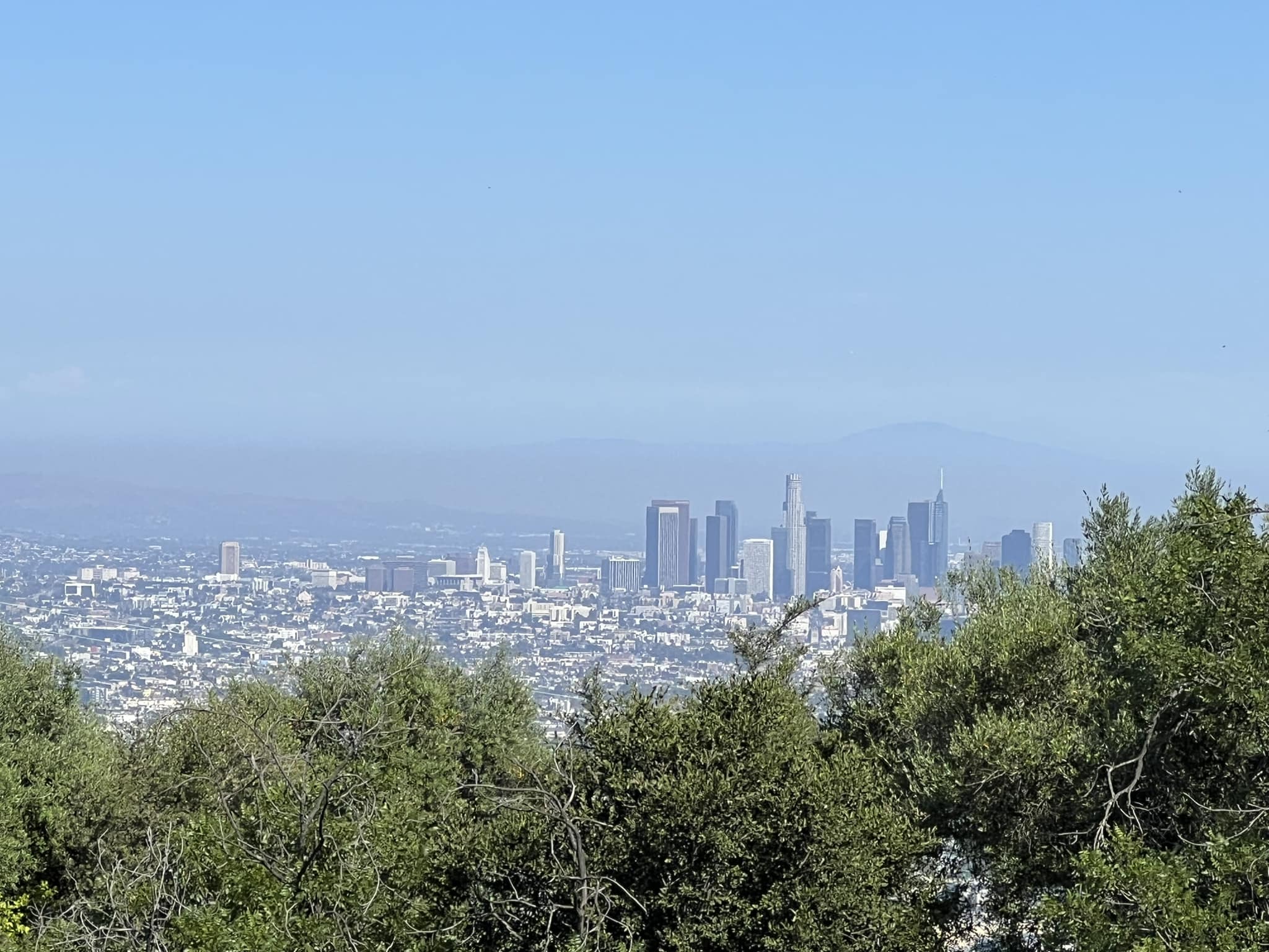 Phương Oanh vướng nghi vấn có tin vui, Shark Bình vội sang Mỹ - 1