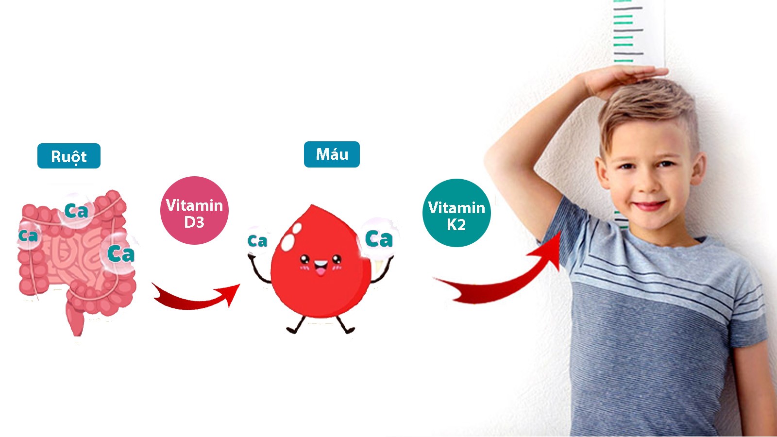 5 cách giúp trẻ phát triển chiều cao tự nhiên, ít tốn kém tại nhà - 3