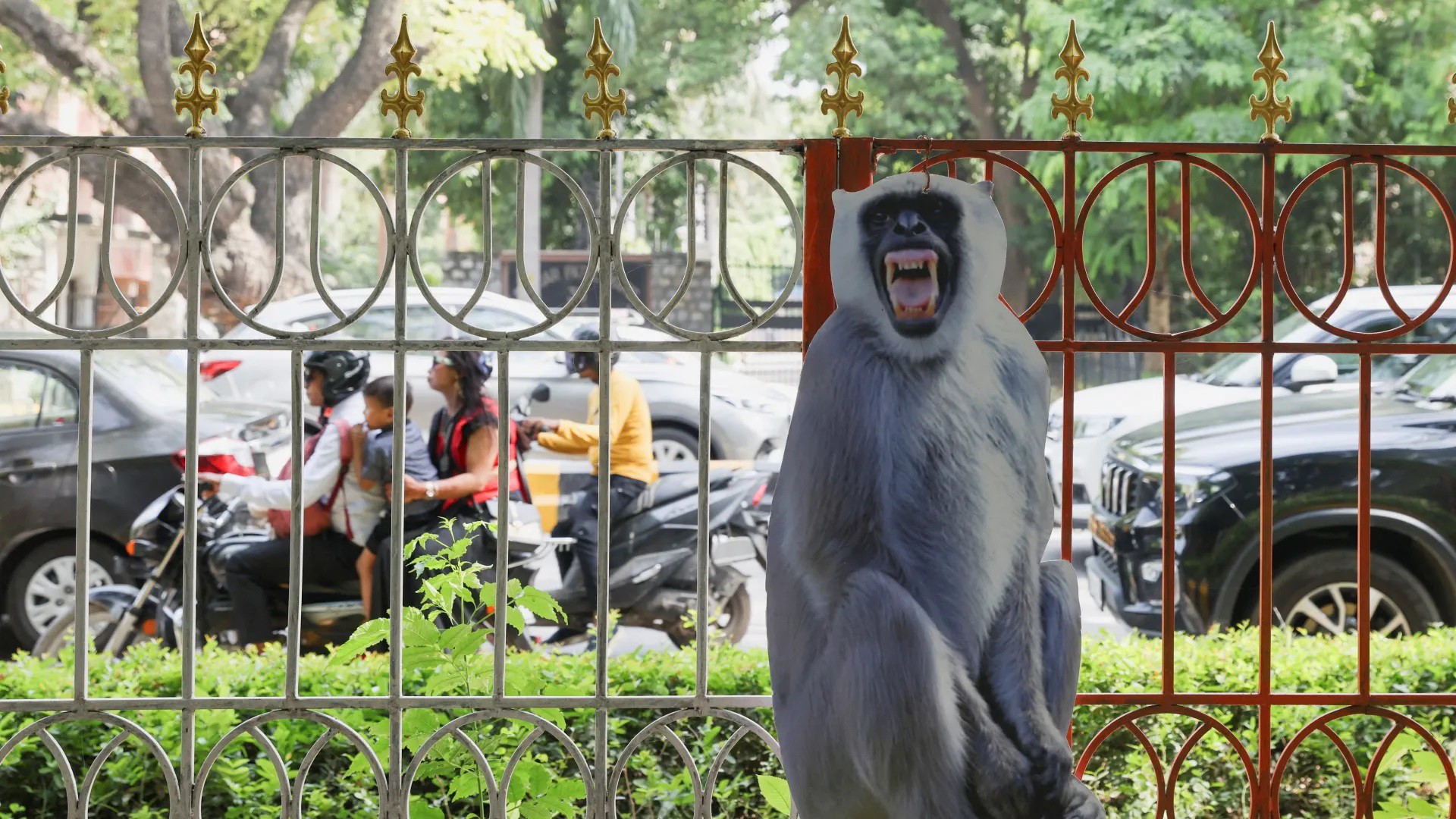 Sợ khỉ quấy phá thượng đỉnh G-20, Ấn Độ dùng đến &#34;người khỉ&#34; - 1