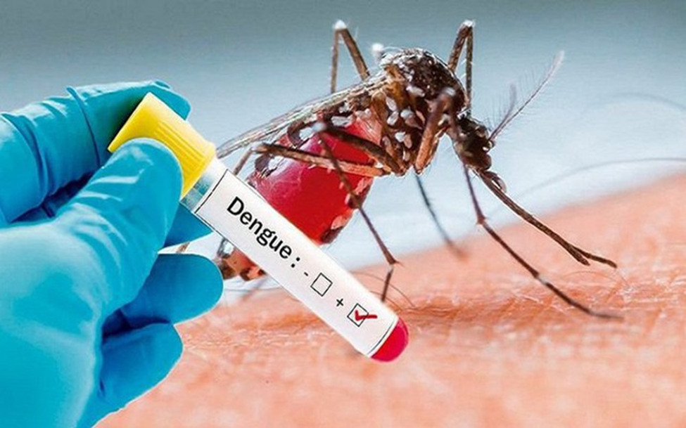 Đã có 18 người tử vong do sốt xuất huyết - 1