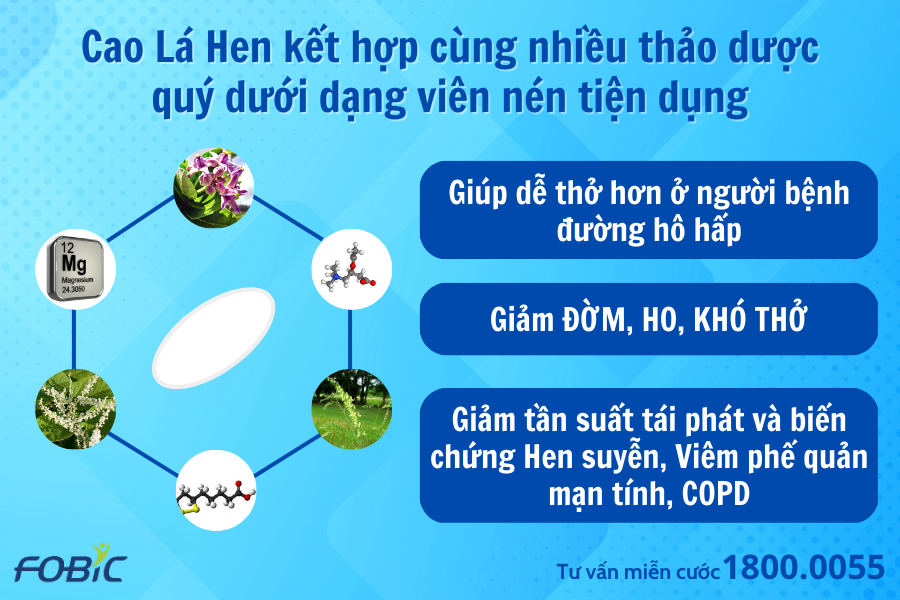 5 cách để giữ cho phổi của bạn luôn khỏe mạnh - chẳng ngại đàm, ho, khó thở - 5