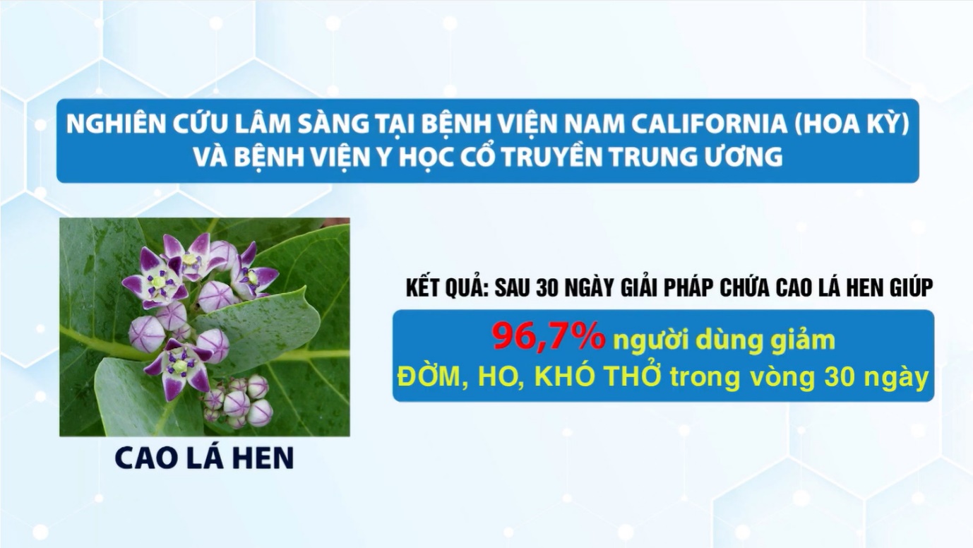 Loại lá rẻ bèo ở Việt Nam được người Nhật ví như "lá hồi sinh" siêu đắt đỏ rất tốt cho phổi - 5