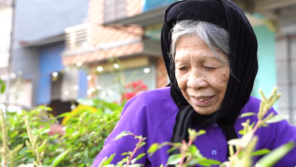 Loại lá rẻ bèo ở Việt Nam được người Nhật ví như "lá hồi sinh" siêu đắt đỏ rất tốt cho phổi - 7