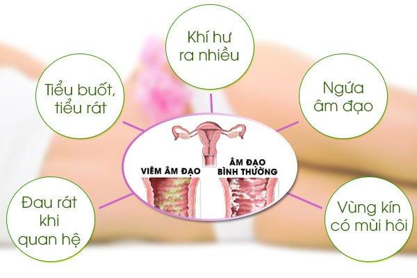 Lameri - Sự lựa chọn hoàn hảo cho sức khỏe vùng kín phụ nữ - 1