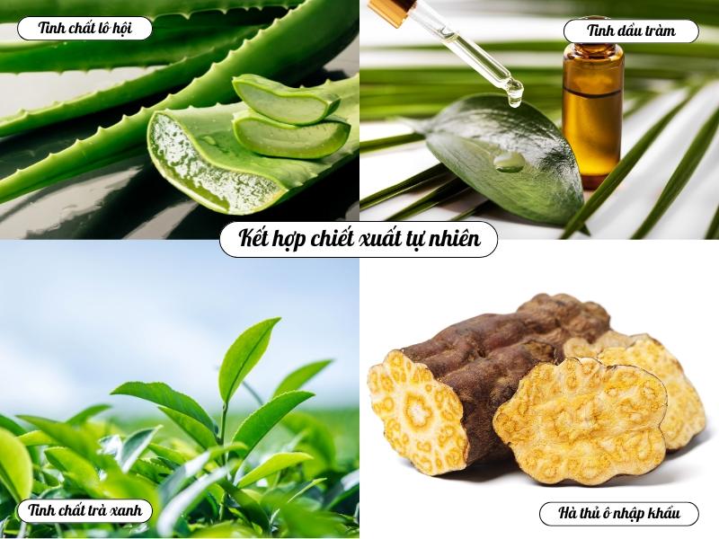 Lameri - Sự lựa chọn hoàn hảo cho sức khỏe vùng kín phụ nữ - 3